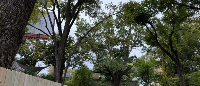 Memphis Germantown in TN, West Memphis in TN, Canada Rd, Tennessee, Hernando Mississippi in TN (33)